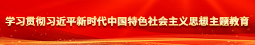 美女搞鸡喷水到高潮小说学习贯彻习近平新时代中国特色社会主义思想主题教育